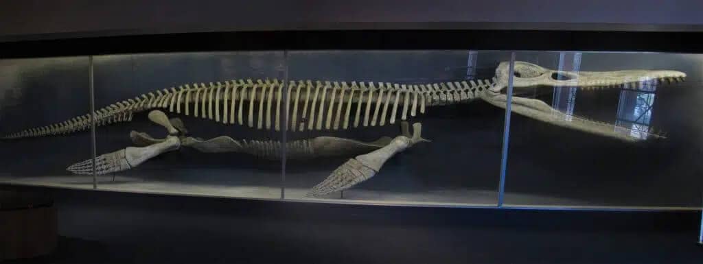  Kronosaurus Scary Deep Sea Creatur